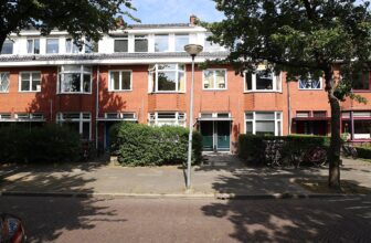 Professor Rankestraat